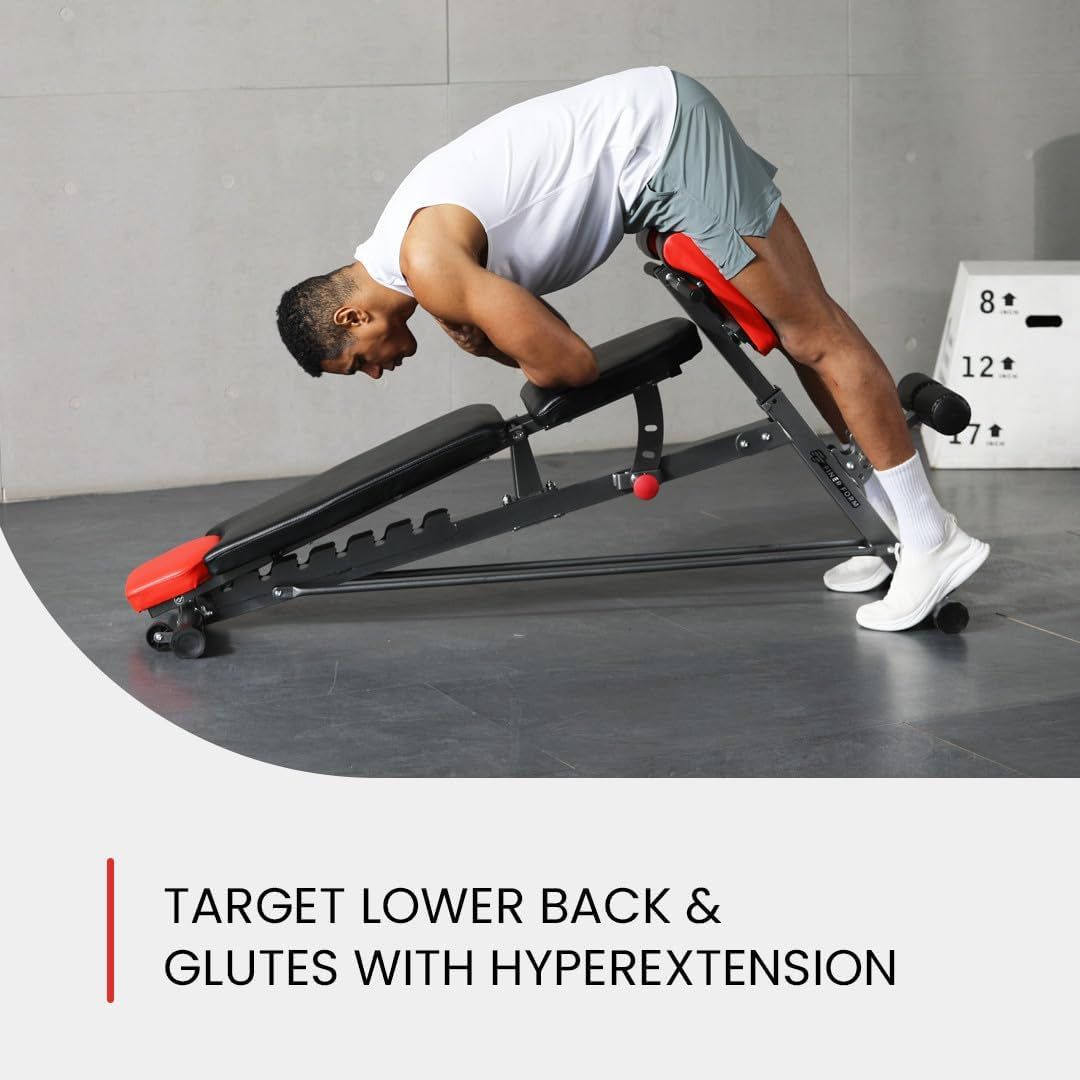 Exercise Kit