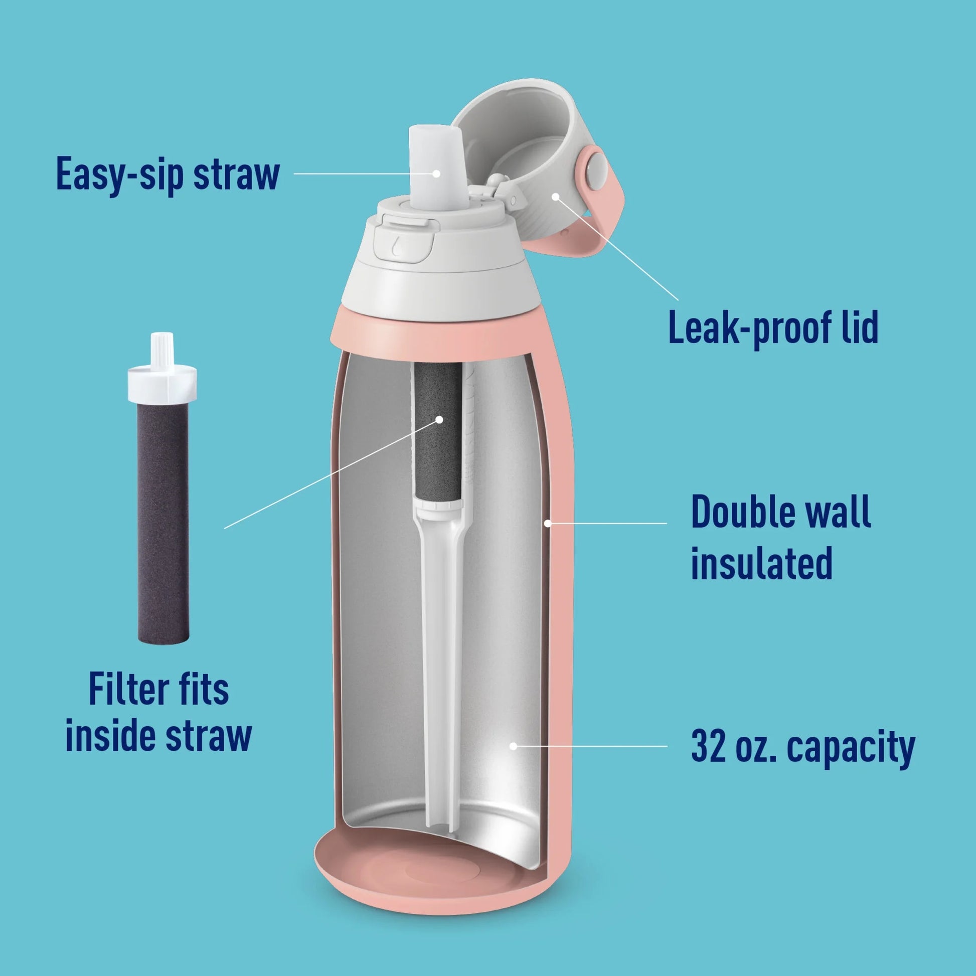 Premium Stainless Steel Leak Proof Filtered Water Bottle, Rose, 32 Oz